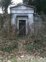 We Have the Right Ears