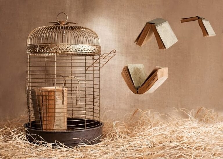 When to Release A Book