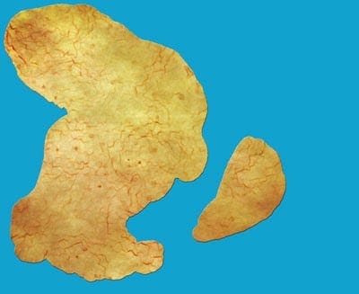 Map Making The World: Part 4- Cayden