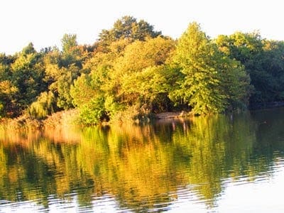 Gorgeous Fall Colors