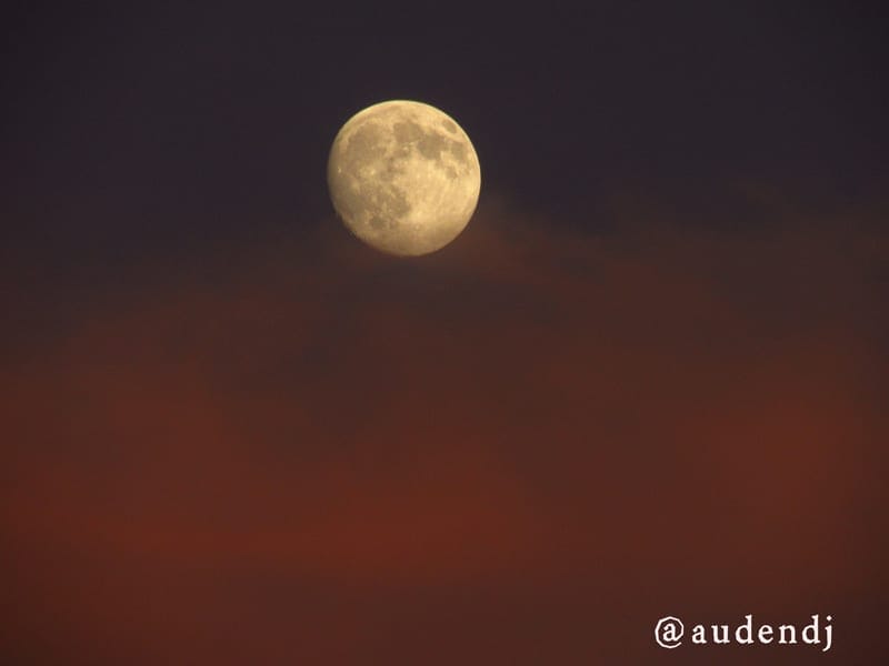 Final Summer Inspiration