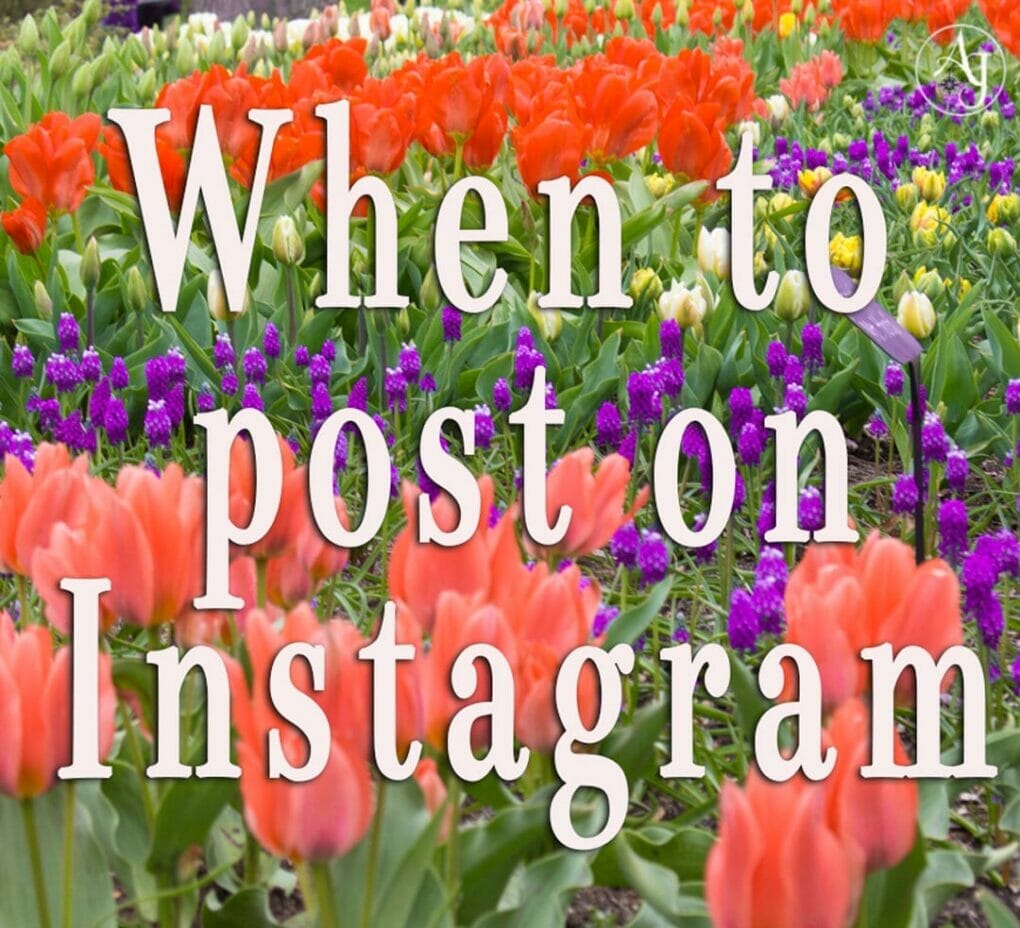 When’s the best time to post on Instagram