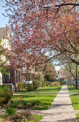 Story and Photos: A Pretty, Savage Town