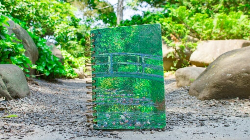 Book Marketing: Your Guide to Photographing Books in Nature