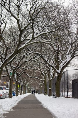 Fantasy Story and Photos: They See Me But They Don’t See Me