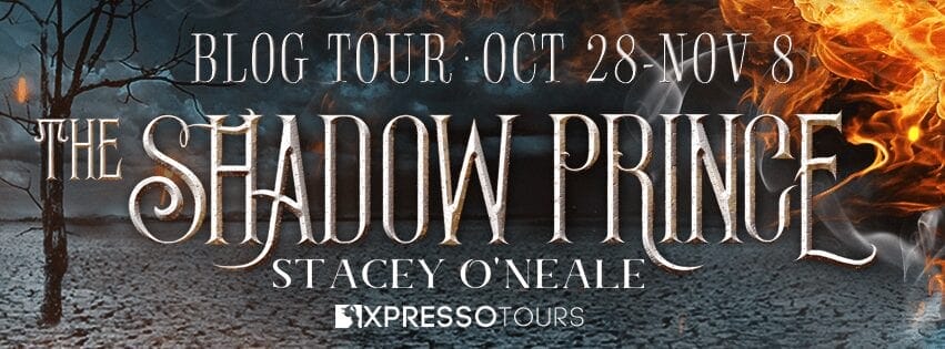 The Shadow Prince Fantasy Book