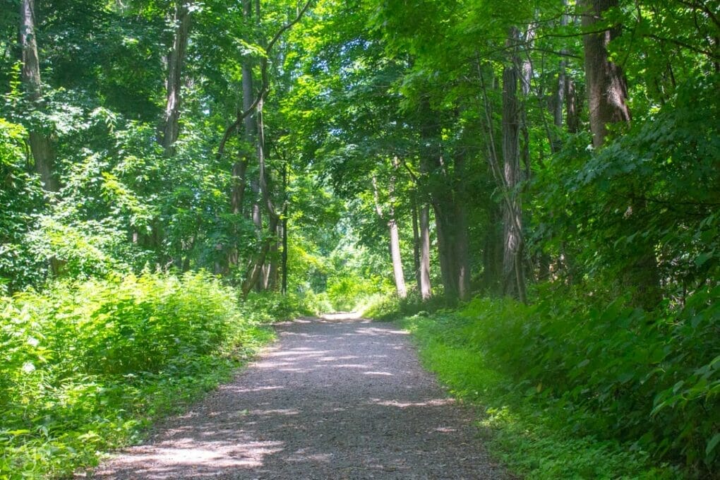 Trail in the Hudson Highlands