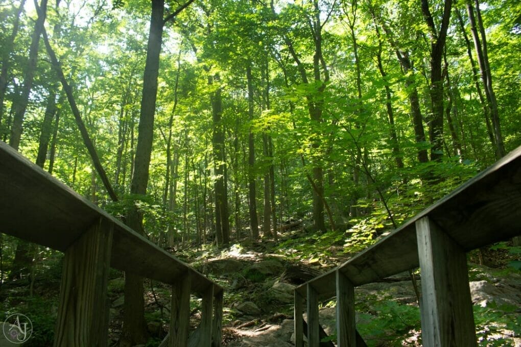 hudson highlands state park trails