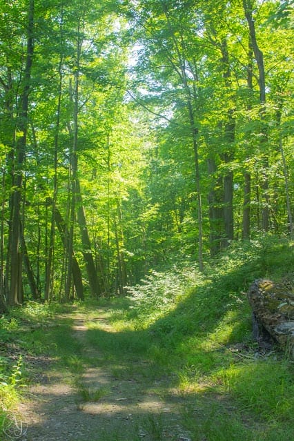 all trails nature trails near me