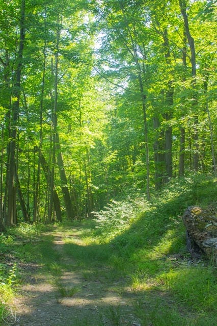 nature trails near me