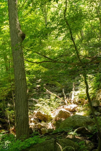 Cold Spring Hiking Trails On the Cornish Trail in Hudson Valley
