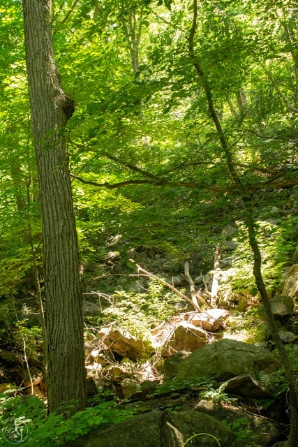 On the Cornish Trail in Hudson Valley