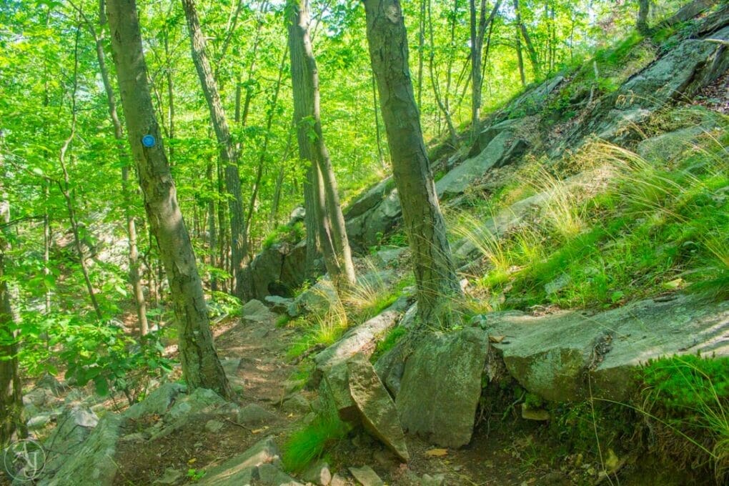 amazing nature photos hudson highlands trails