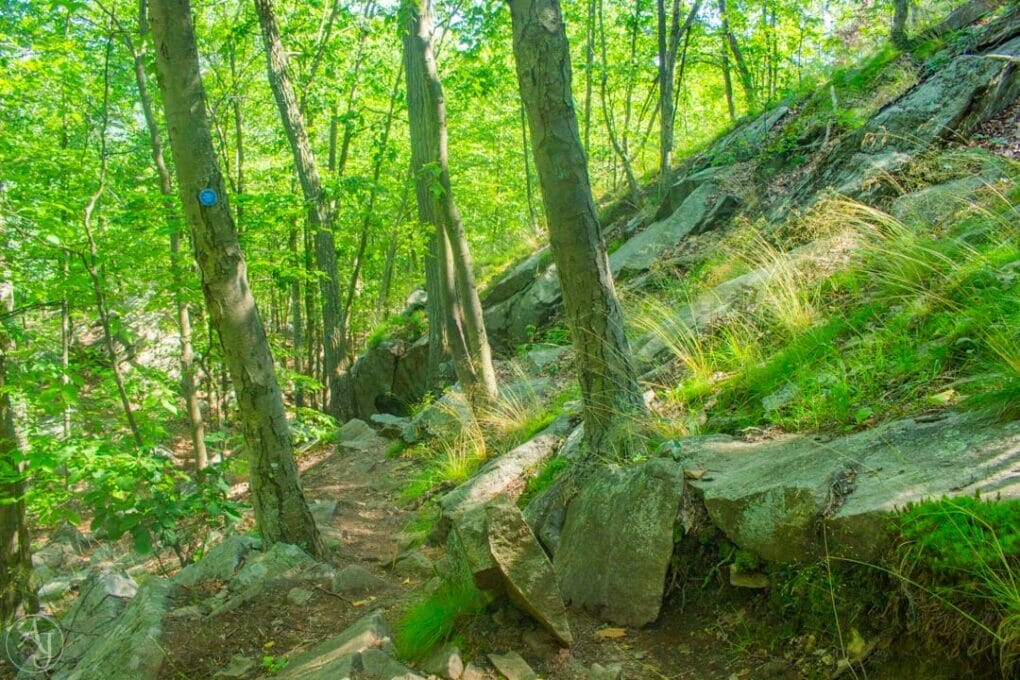 hudson highlands trails