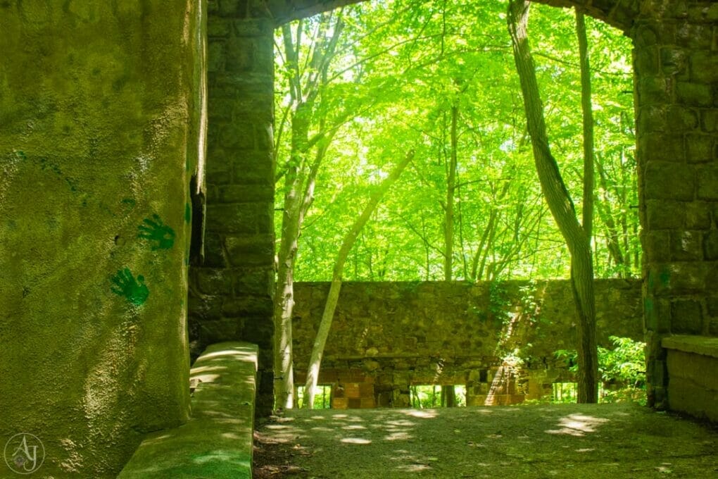 Old abandoned building in NY Forest