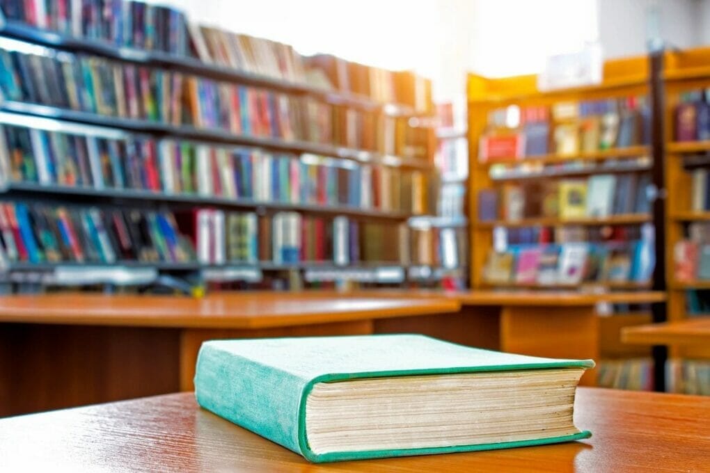 social media marketing for dummies