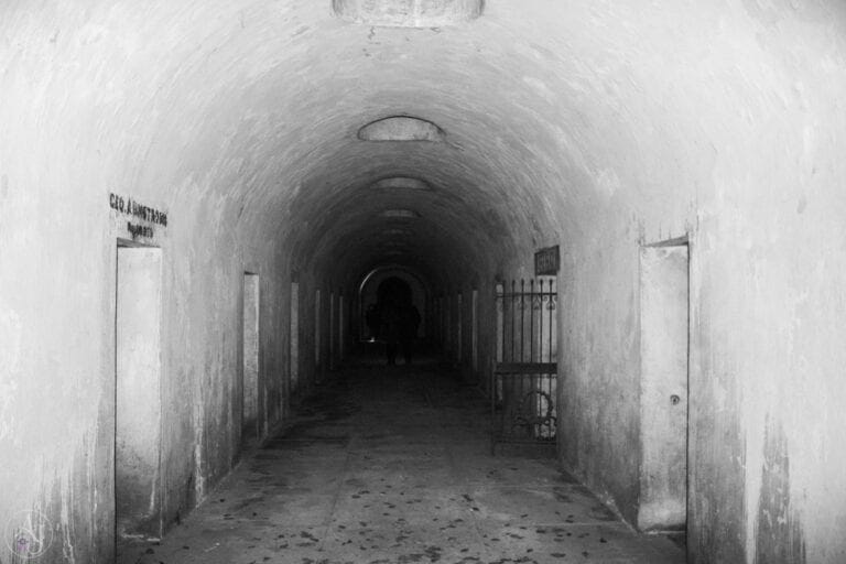Green-wood cemetery catacombs horror