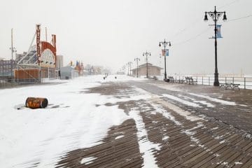 incredible nature photos of brooklyn snowstorm
