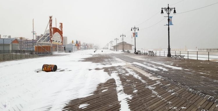 incredible nature photos of brooklyn snowstorm