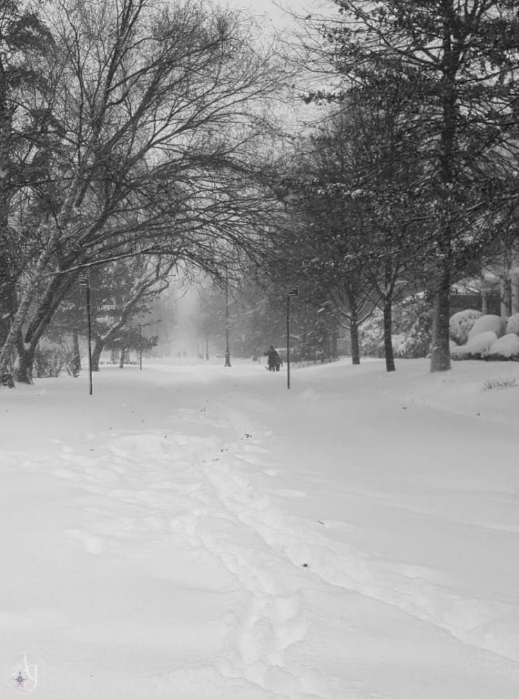 landscape photos of a snow storm in Brooklyn, NY