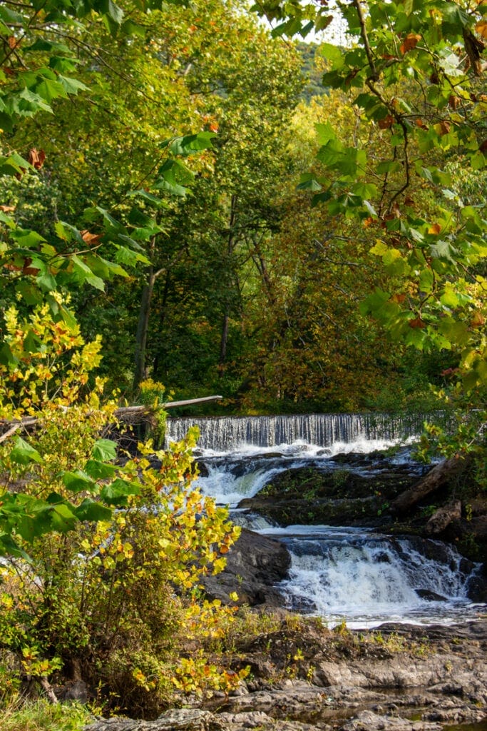madam brett park fall landscape