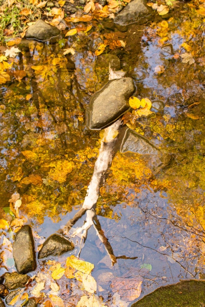 Hudson Highlands Trail fall photo ideas