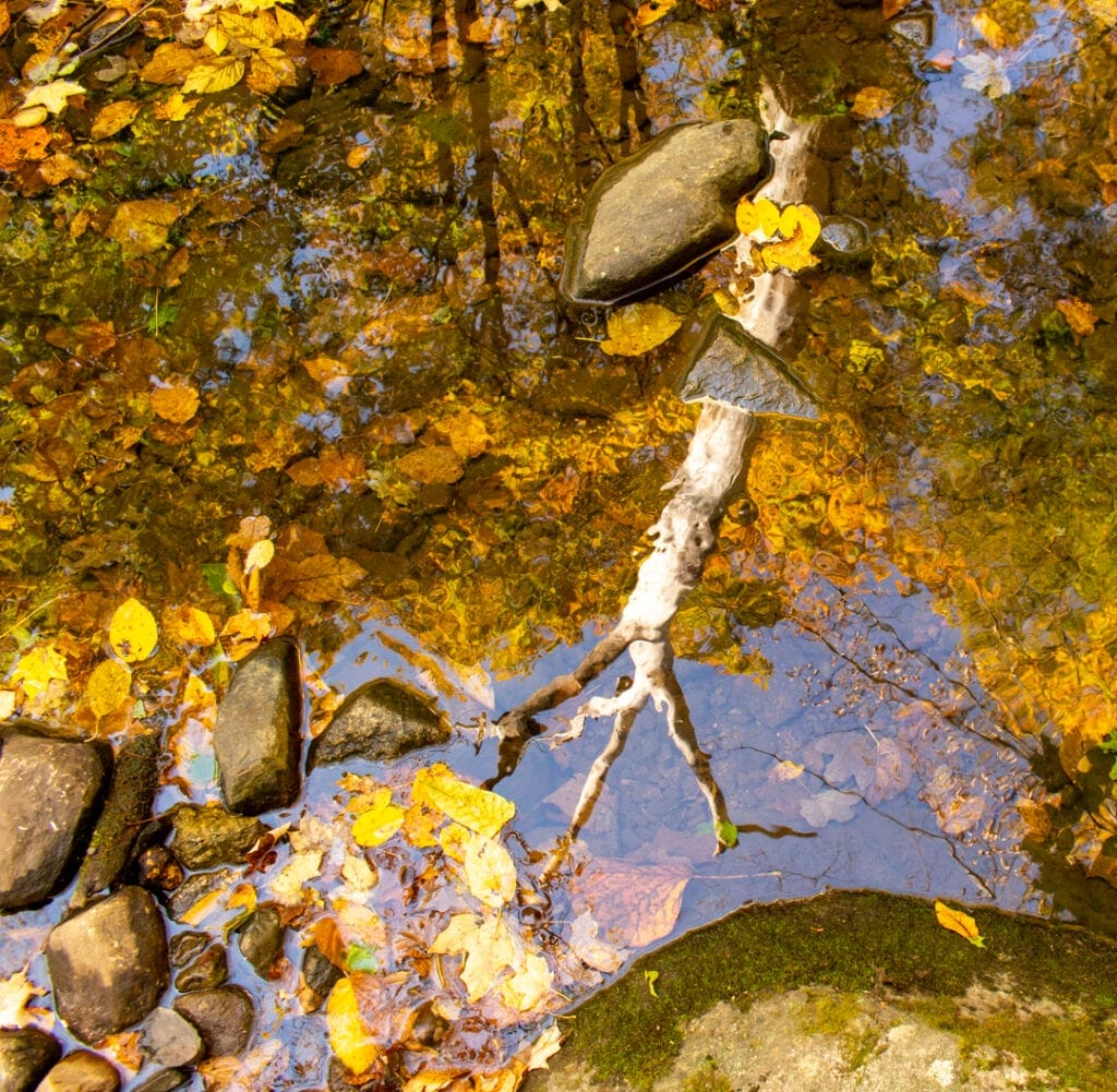 fall photo ideas from hiking in Hudson Valley NY