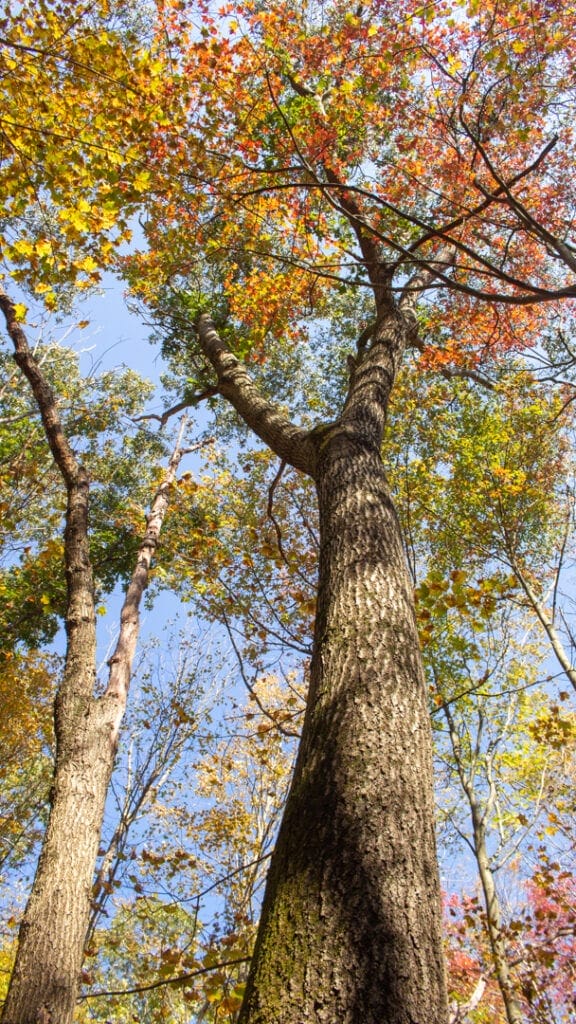 gorgeous nature photos of Hudson Valley Hiking Trails