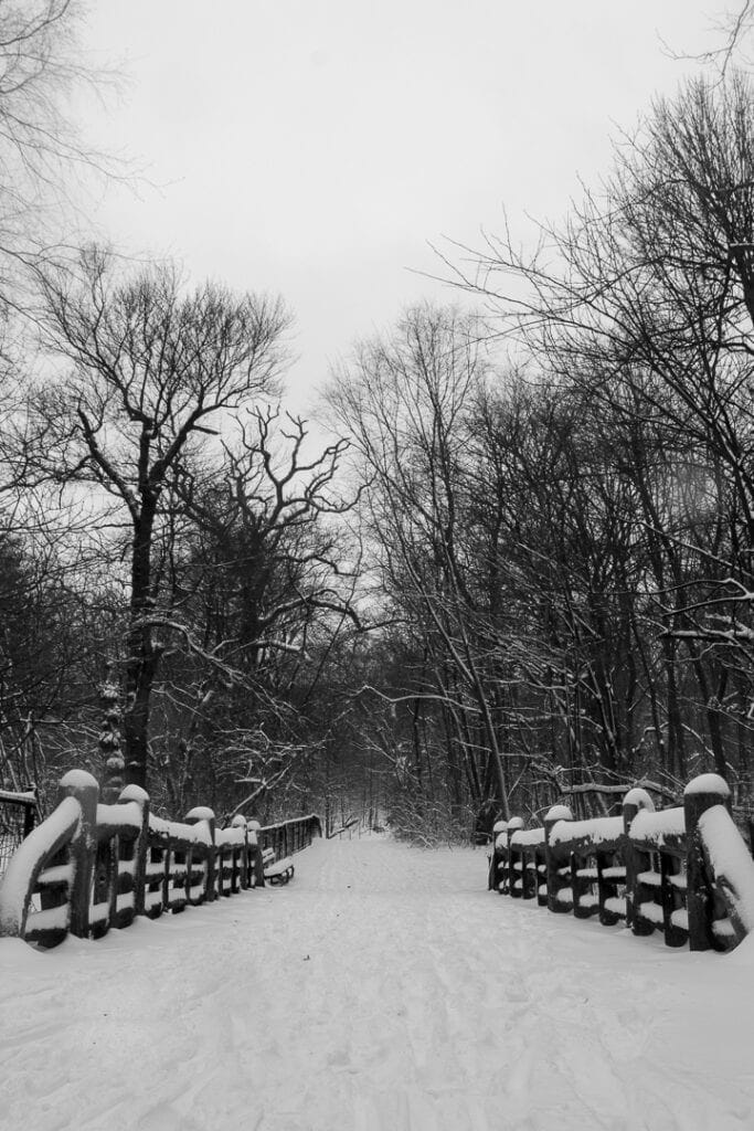 winter wonderland photography