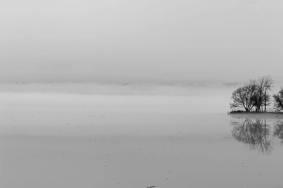 Foggy Landscape Photos