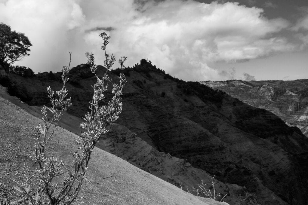 Black and white landscape photography of Waimea Canyon in Hawaii