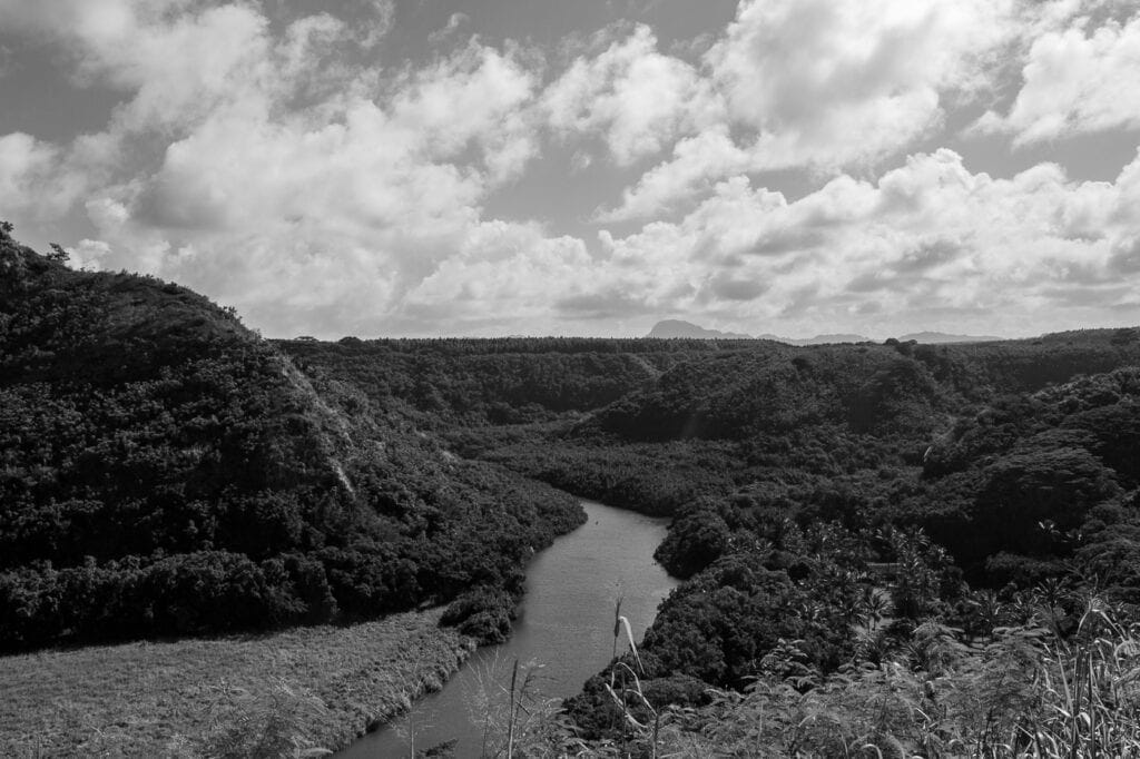 Black and White Paradise