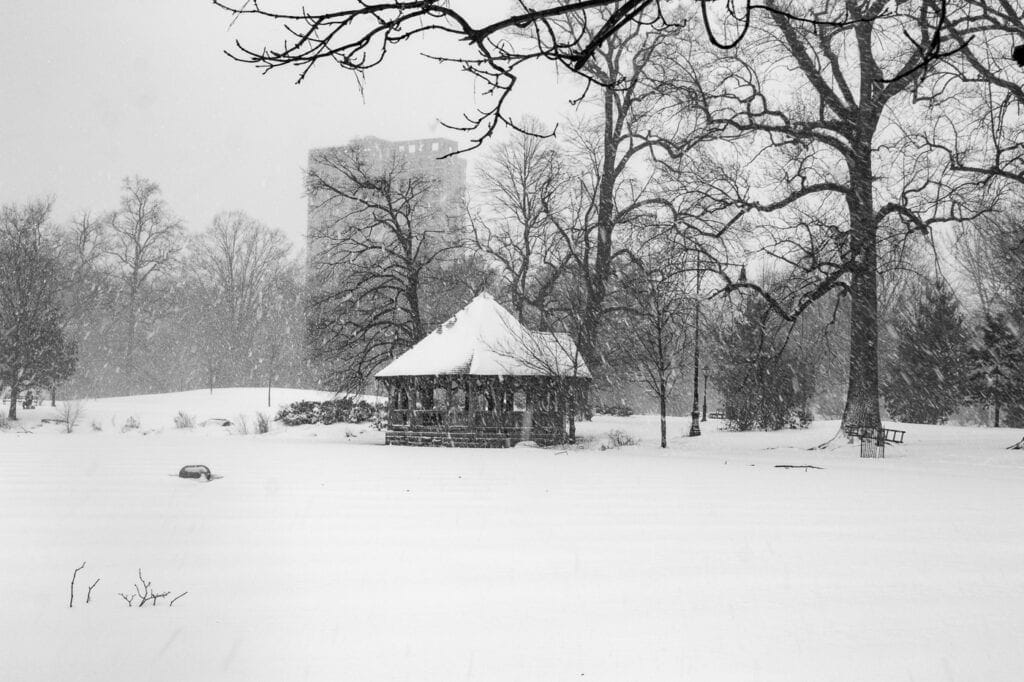 Black and white winter photography