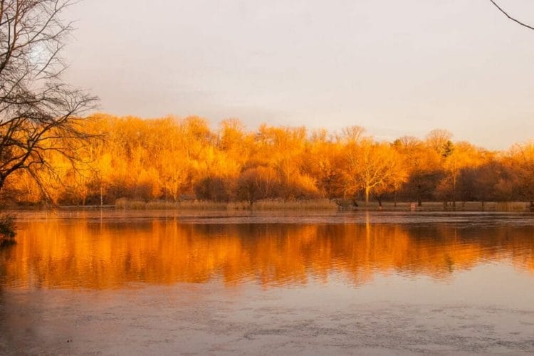 Landscape Photograph the colors of winter