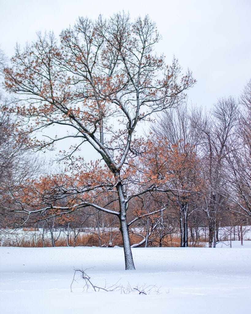 Winter landscape photography