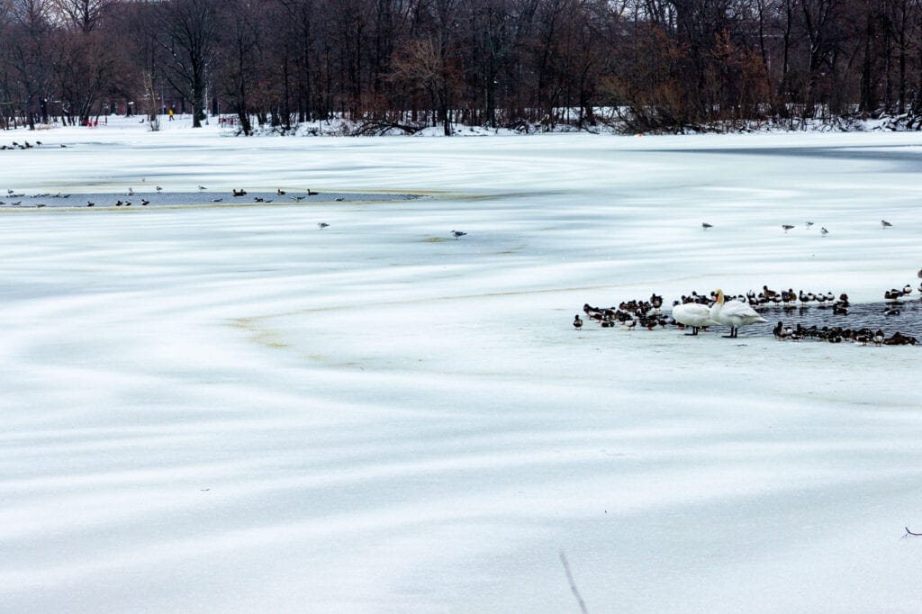 Winter Lake Photography