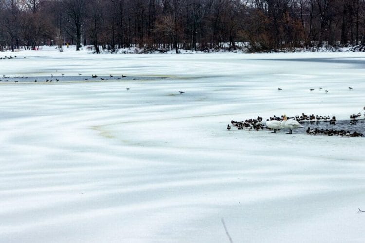 Winter Lake Photography