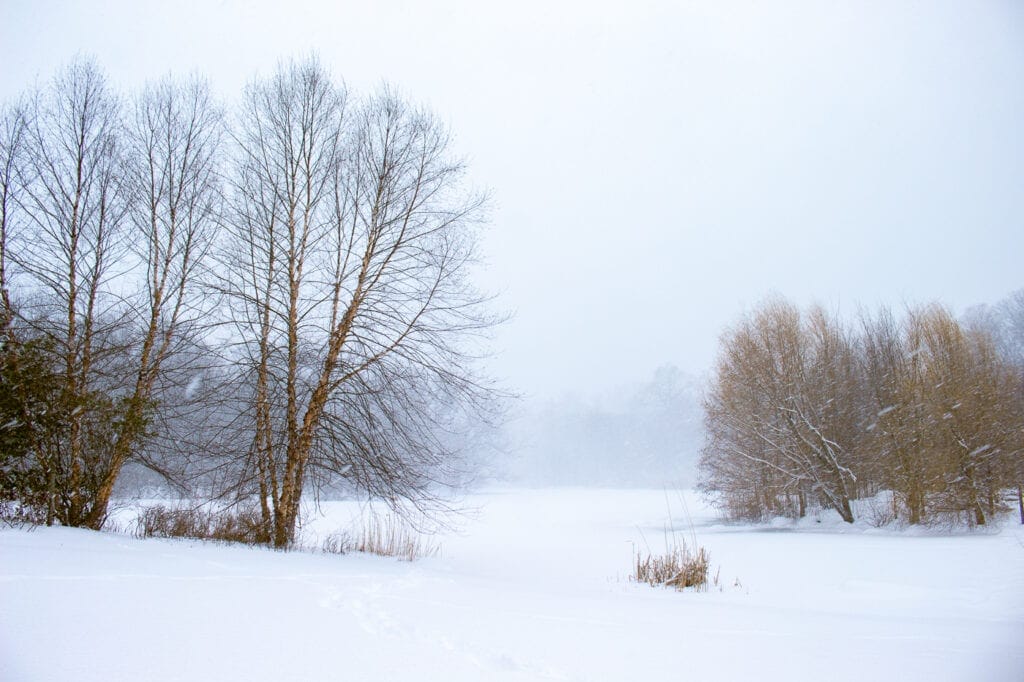 Winter Landscape Photography Prospect Park