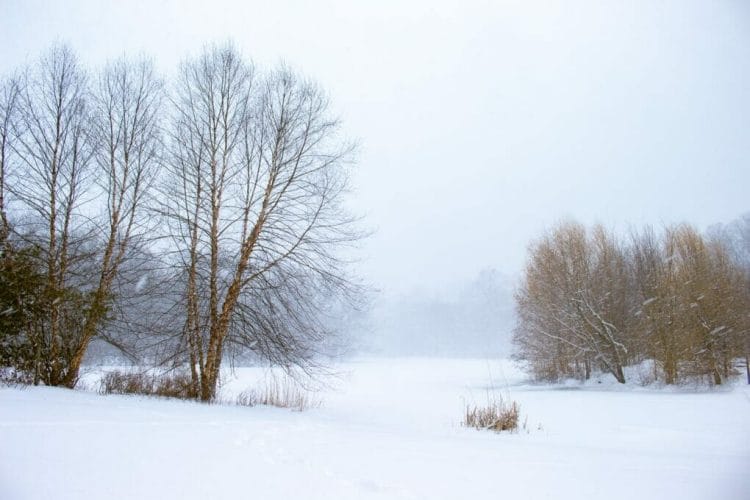Winter Landscape Photography Prospect Park