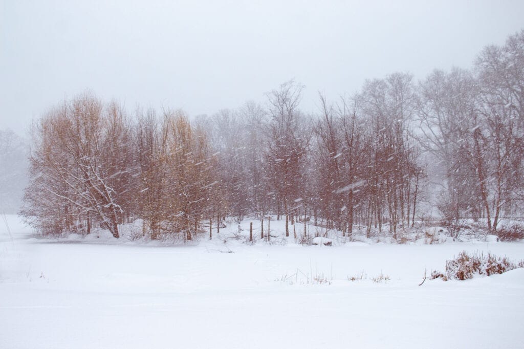 Winter Landscape Photography in Brooklyn NY
