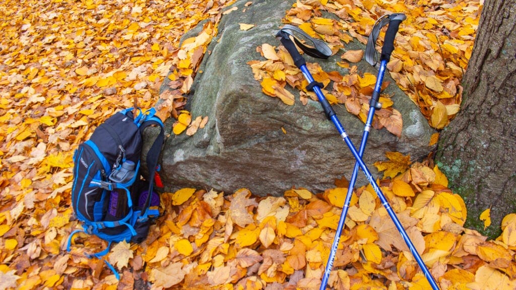 Hiking Bag and Trekking Poles