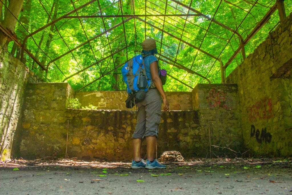 Day Hiking Bag