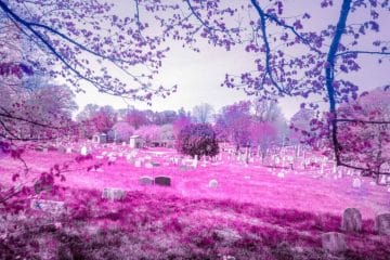 Infrared Fantasy Landscape Photography