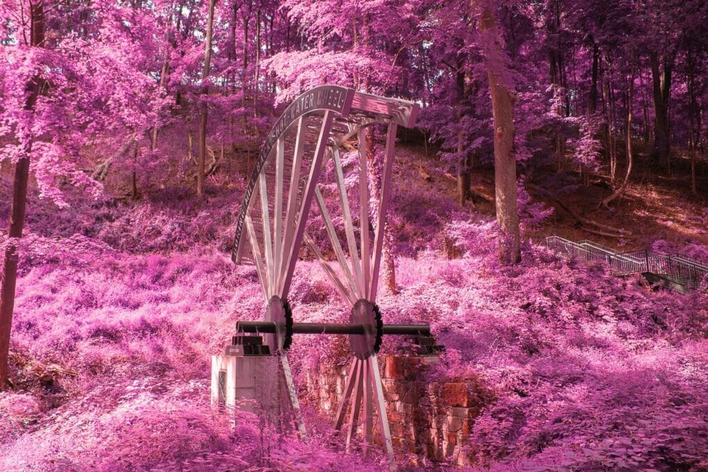 Creating Fantasy Landscapes with Infrared Photography