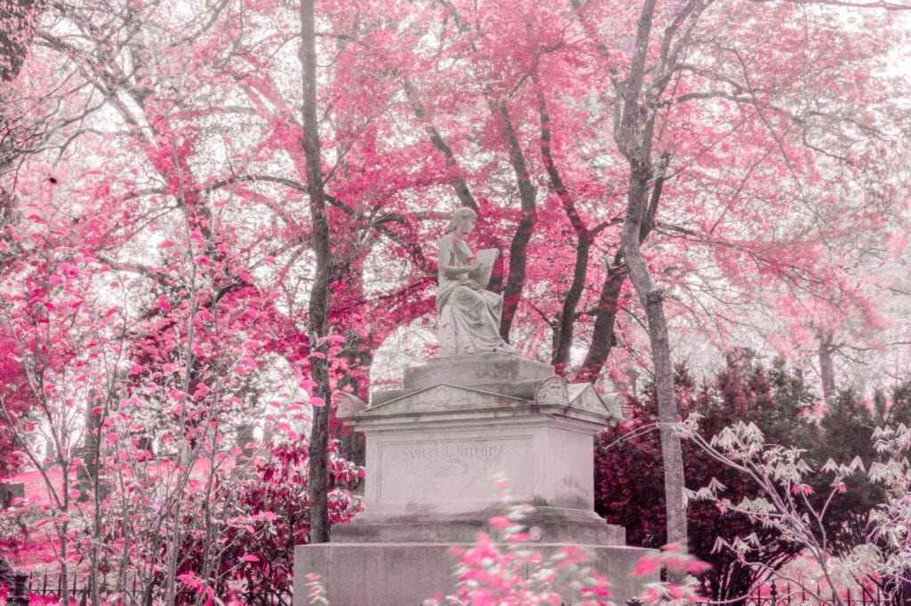 Pink Infrared Monument