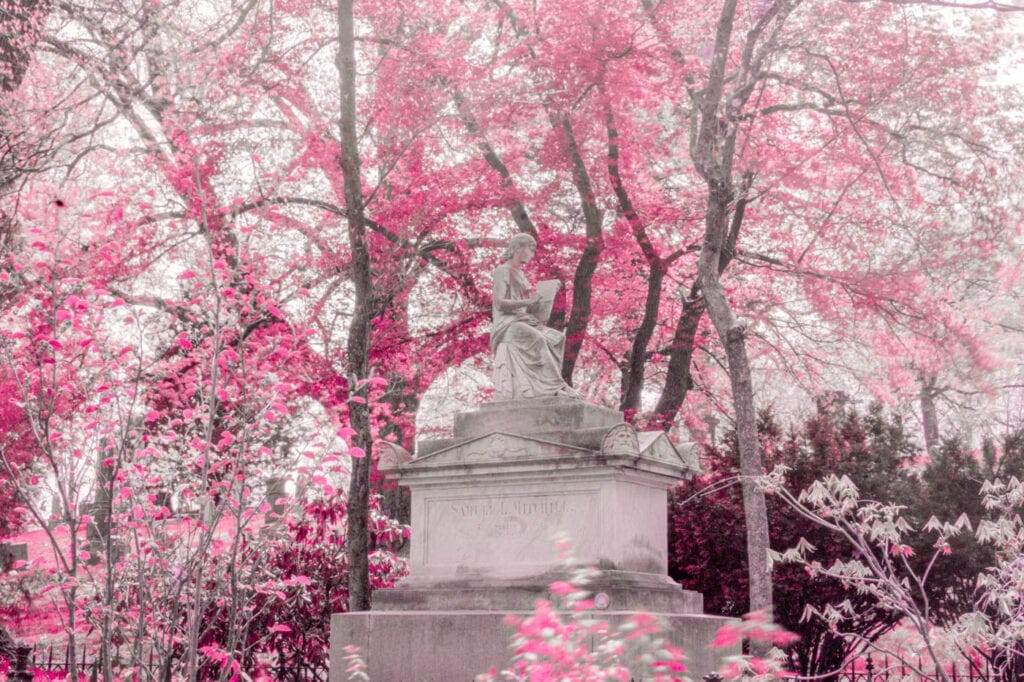 Pink Infrared Monument 