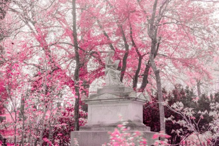 Pink Infrared Monument 