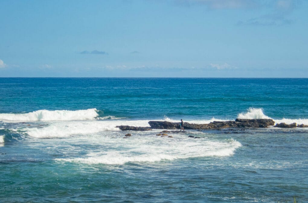 Nature Photography Print