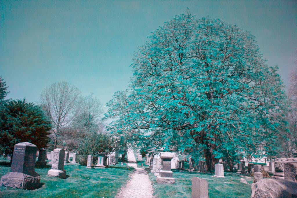 Infrared Greenwood Cemetery