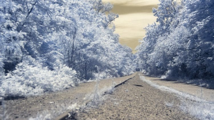 Infrared Landscape on the Hiking Trail